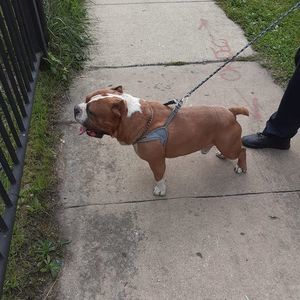 Meet your Posher, Kevin